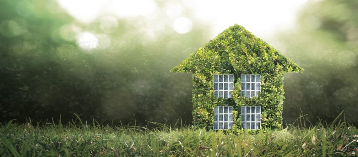 Eco-friendly house model made of green leaves symbolizing sustainable living, representing the best property in Cyprus.